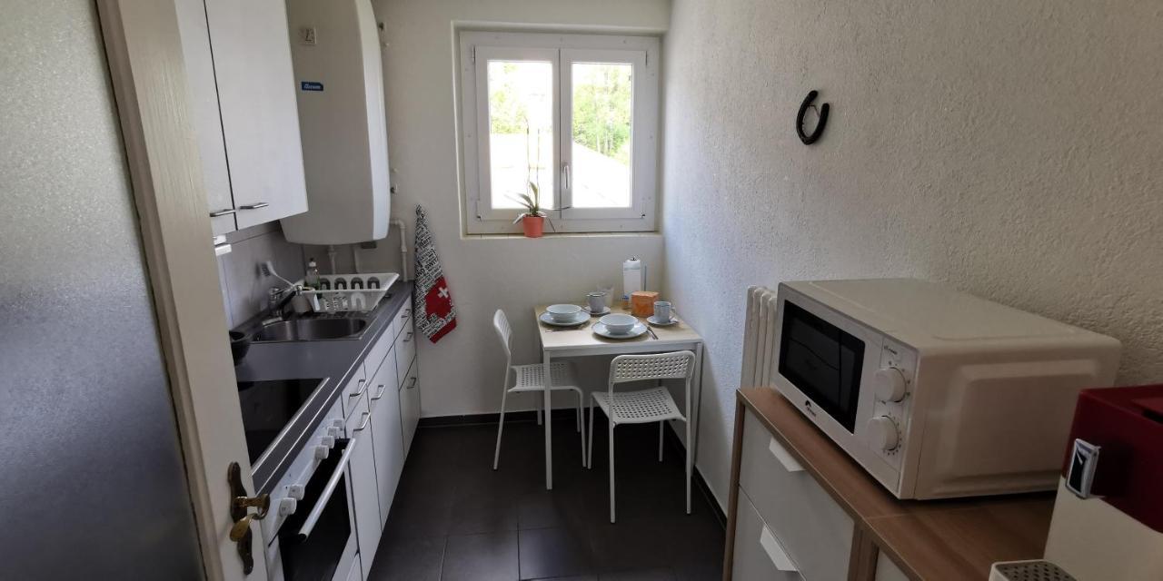 Helvetia 2 Zimmer Apartment Mit Parkplatz Curych Exteriér fotografie